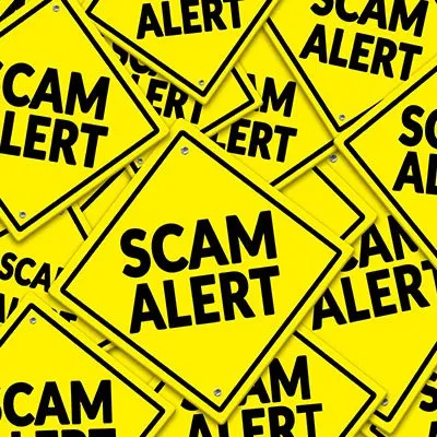 Scams Work More than Wed Like to Admit