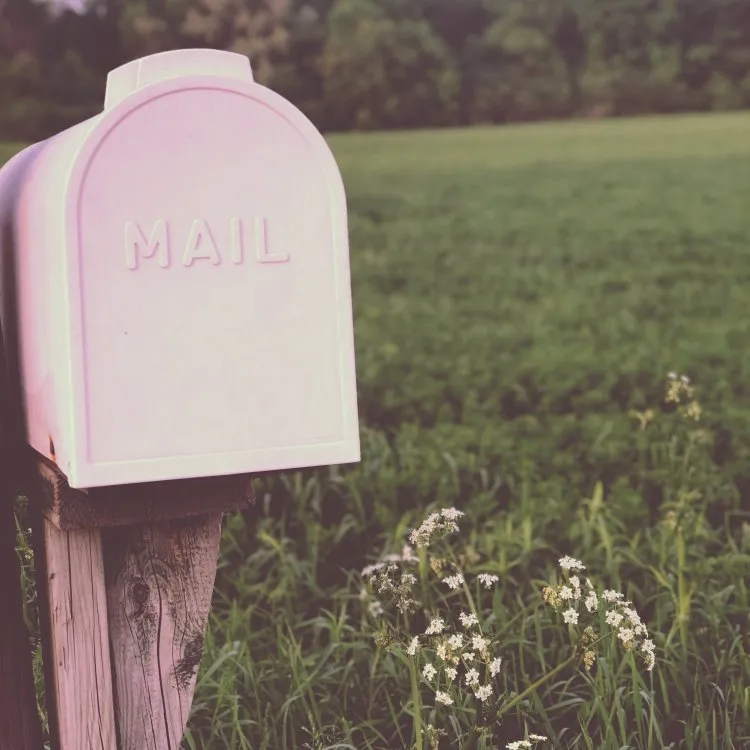 11 Essential Tips for Cleaning Up Your Personal and Professional Inbox Introduction