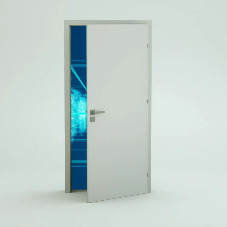 Secure Your Digital Doors